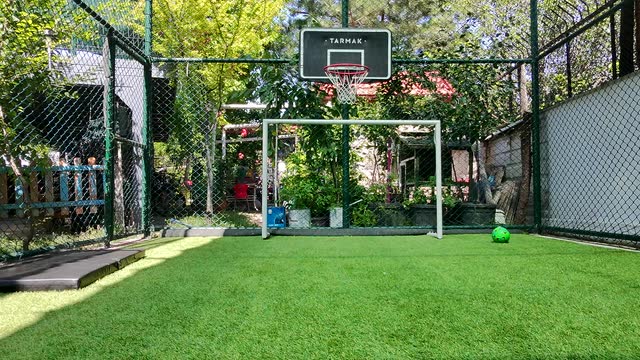 Çim zeminli spor sahası, kale ve basketbol potası